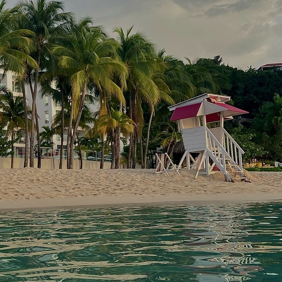 Meet your Posher, Chloe - Picture 1 of 1